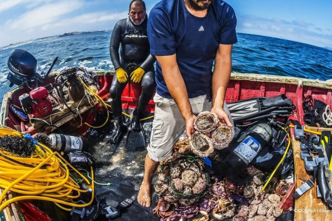 Alternativas Sostenibles al Proyecto Dominga: La Resiliencia de La Higuera