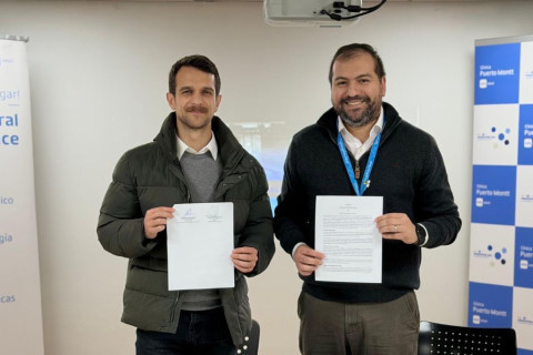 Puerto Varas impulsa programa de endoscopías para reducir listas de espera en salud